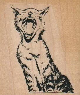 Howling Cat 2 X 2 1/4