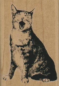 Cat Yowling 1 3/4 X 2 1/2