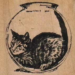 Cat In Fishbowl 2 X 2