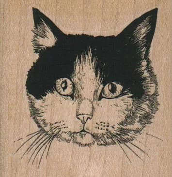 Black & White Cat 2 1/2 X 2 1/2