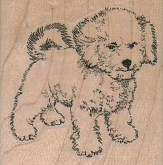 Mischievous Bichon 2 1/4 X 2 1/4