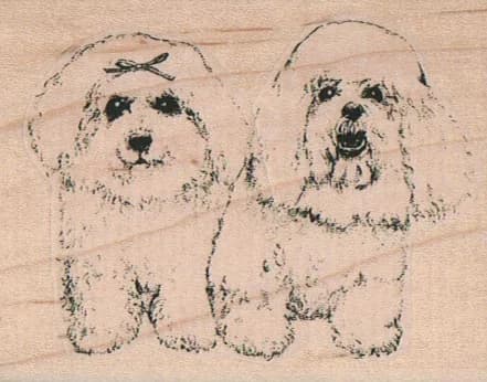 Bichon Buddies 2 1/2 X 3