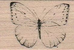 Butterfly Gossamer/small 1 3/4 X 1 1/4