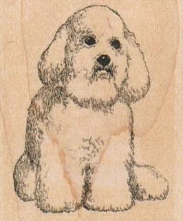 Bichon Pensive 1 3/4 X 2 1/4