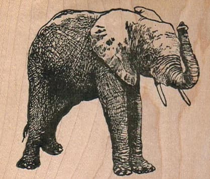 Elephant 2 1/2 X 2 1/2
