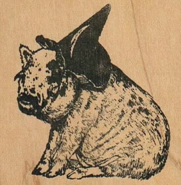 Pig Witch 2 1/2 X 2 1/2