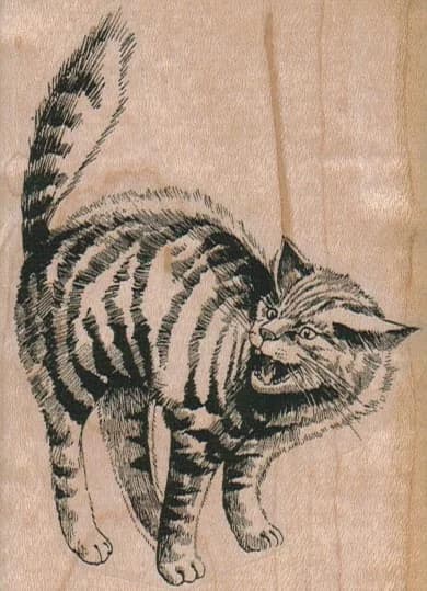 Cat Snarling 2 3/4 X 3 3/4