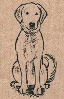 Golden Retriever Dog Sitting 1 1/2 X 2 1/4