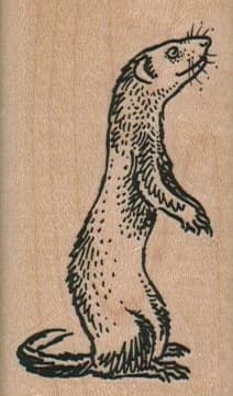 Ferret Standing 1 1/2 X 2 1/2