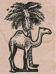 Camel And Palm Tree 1 1/2 X 1 3/4