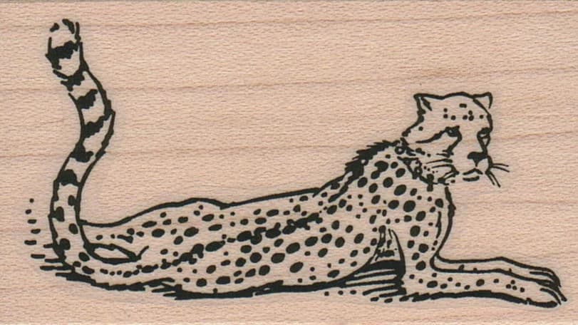 Cheetah 1 3/4 X 2 3/4