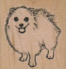 Pomeranian Dog 2 X 2
