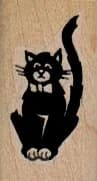 Bow Tie Cat 3/4 X 1 1/4