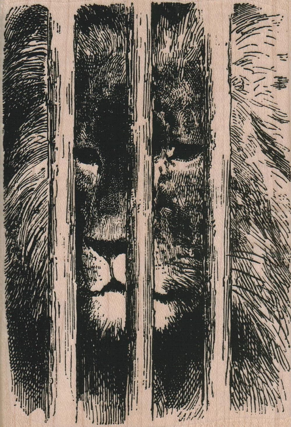 Lion Behind Bars 3 1/2 X 5