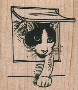 Cat Entering Cat Door 2 X 2 1/4