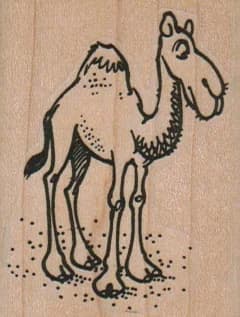 Camel Side 1 3/4 X 2 1/4