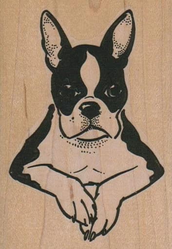 Boston Terrier Paws/large 2 1/2 X 3 1/2