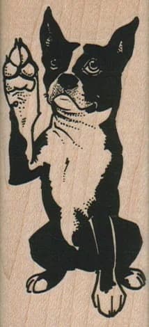 Boston Terrier One Paw Up 1 1/2 X 3 1/4