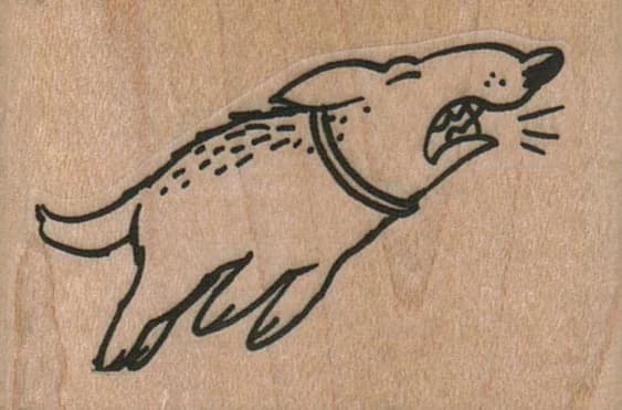 Barking Dog 2 X 1 1/4
