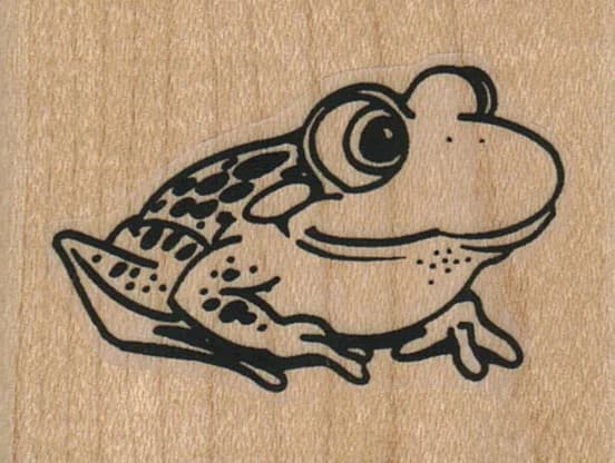 Smiling Frog Side 2 X 1 1/2