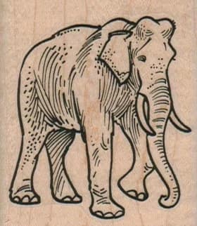 Elephant Lifting Foot 2 X 2 1/4