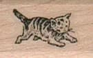 Kitten Running 3/4 X 1