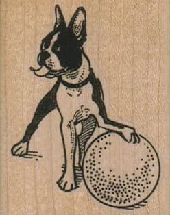 Boston Terrier With Ball 1 3/4 X 2 1/4