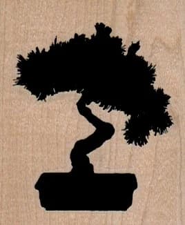Bonsai Tree 2 X 2 1/4