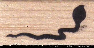Cobra Silhouette 1 1/4 X 2 1/4