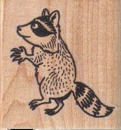 Raccoon Walking Upright 1 3/4 X 1 3/4