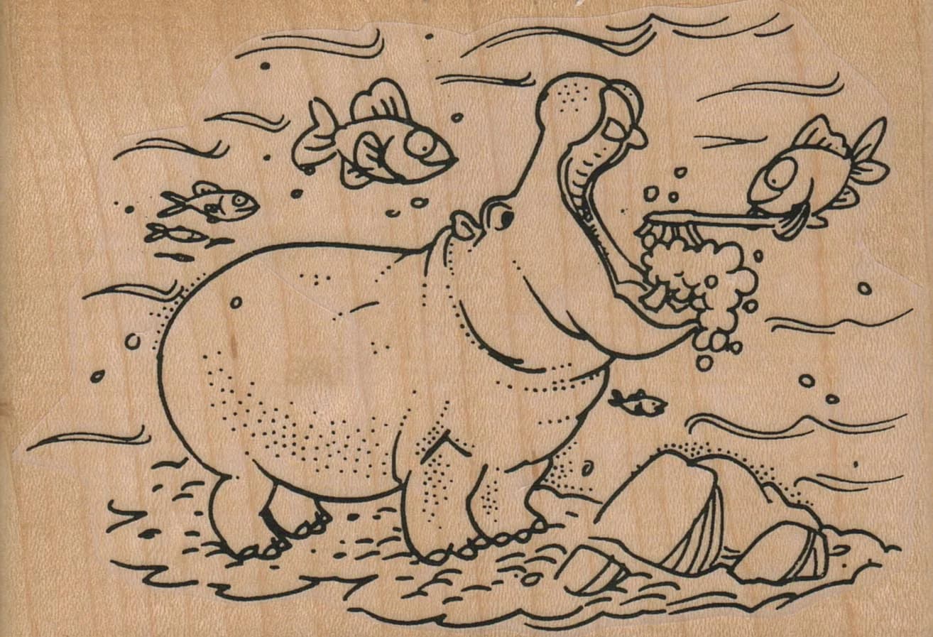 Hippo Getting Teeth Cleaned 4 1/2 X 3