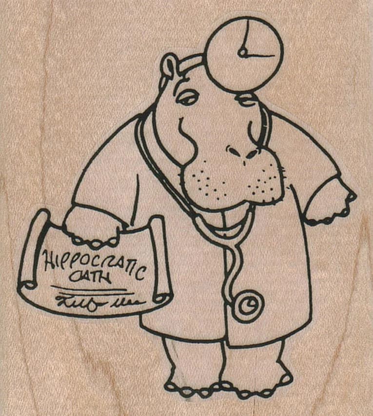 Dr. Hippo 2 3/4 X 3