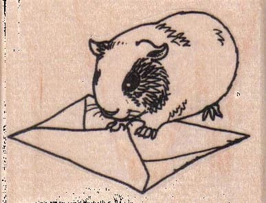 Guinea Pig Sealing Envelope 2 3/4 X 2
