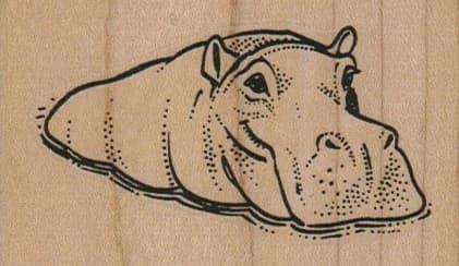 Hippo Half Submerged 3 X 1 3/4