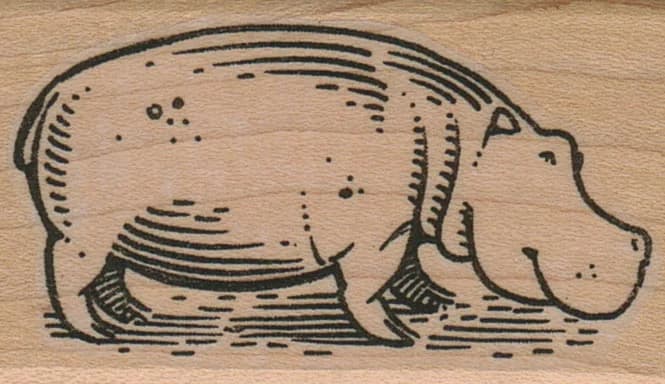 Hippo Side 1 1/2 X 2 1/4