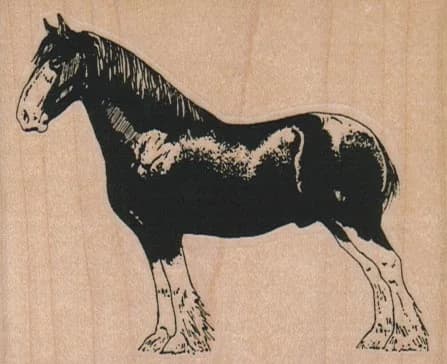 Work Horse 3 1/4 X 2 1/2