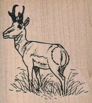 Deer In Field 2 1/4 X 2 1/2