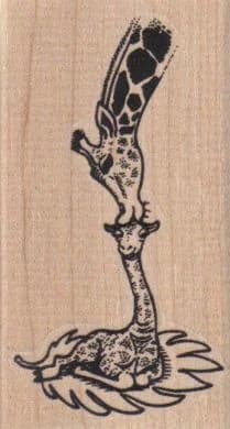 Giraffe Kissing Baby 2 X 3 1/2