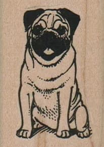 Sitting Pug 1 1/2 X 2