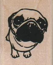 Pug Looking Up 1 1/4 X 1 1/2
