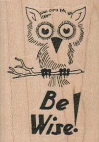 Be Wise Owl 1 1/2 X 2