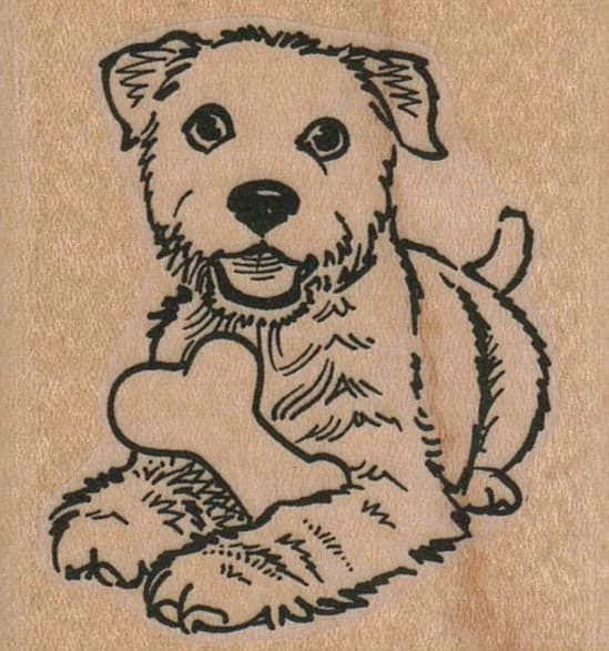Dog With Bone 2 X 2