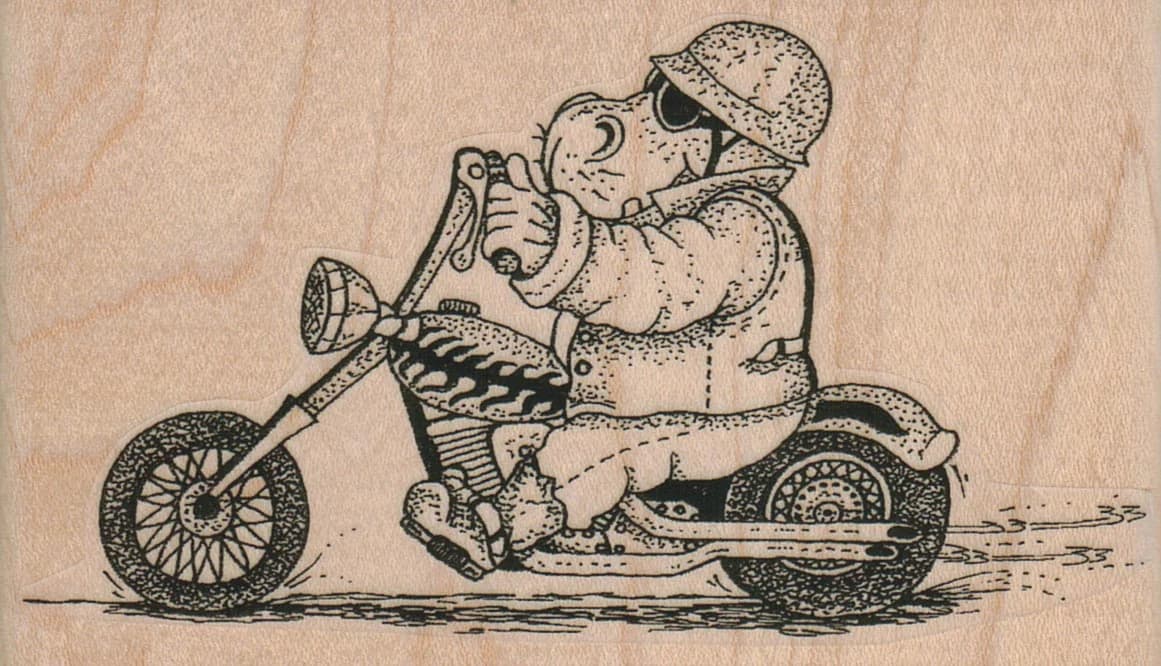 Hippo On Motorcycle 4 X 2 1/4