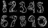 Ferret Numbers (unmounted)