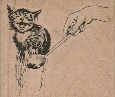Cat In Spaghetti 2 3/4 X 2 1/2