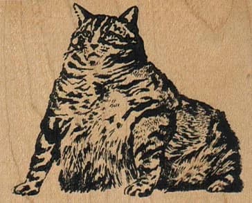 Fat Cat 2 1/2 X 2