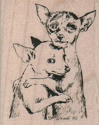 Chihuahuas Comforting 2 1/4 X 2 3/4