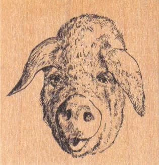 Pig Smile 2 1/4 X 2 1/4