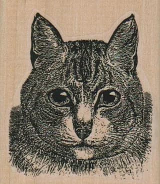 Serious Cat Face 2 1/4 X 2 1/2