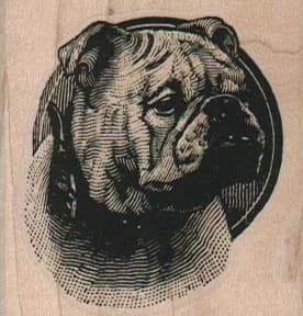Bulldog Head 2 X 2